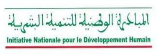 Logo Initiative Nationale pour le Développement Humain