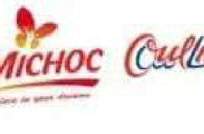 Logo Michoc